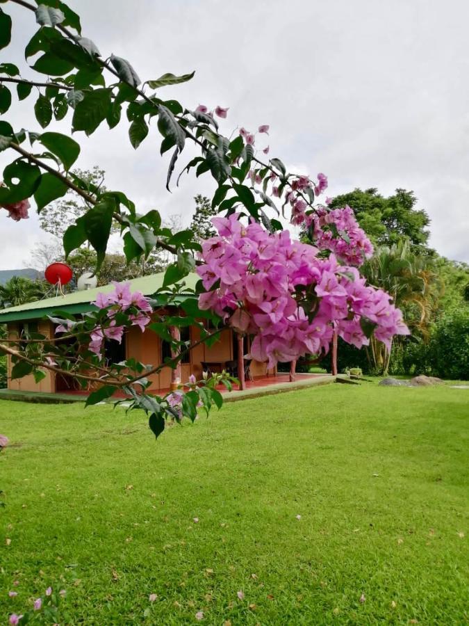 فيلا Casita El Jardin بيجاغوا المظهر الخارجي الصورة