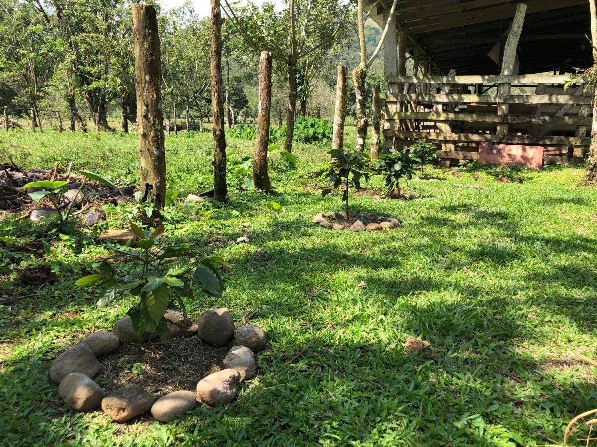 فيلا Casita El Jardin بيجاغوا المظهر الخارجي الصورة