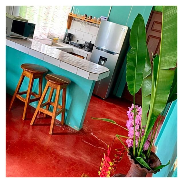فيلا Casita El Jardin بيجاغوا المظهر الخارجي الصورة